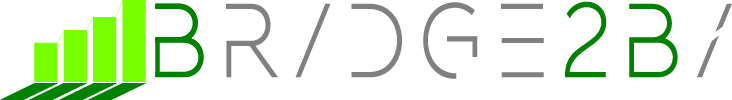 Bridge2Bi